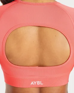 Adapt Seamless Crop Top