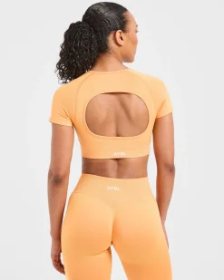 Adapt Seamless Crop Top