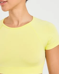 Adapt Seamless Crop Top
