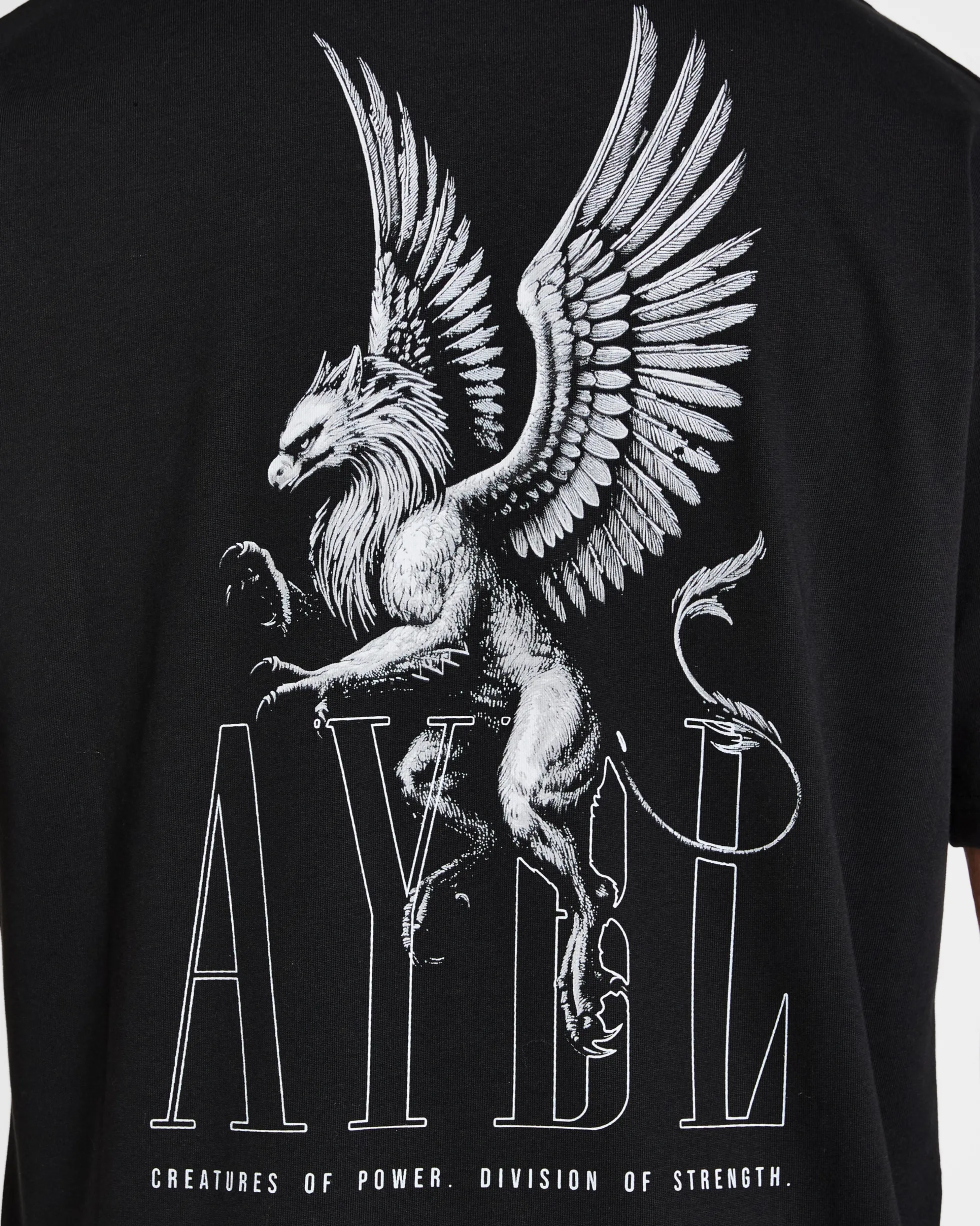 Creatures Of Power Oversized T Shirt
